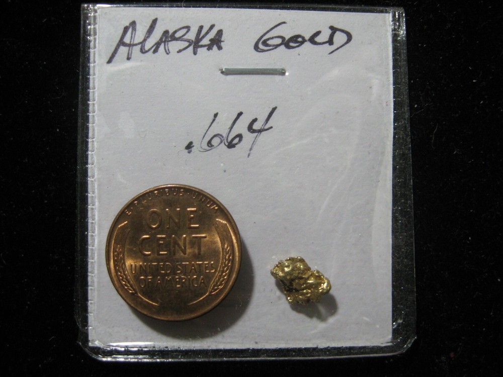 ALASKA GOLD NUGGET  .664 GRAMS