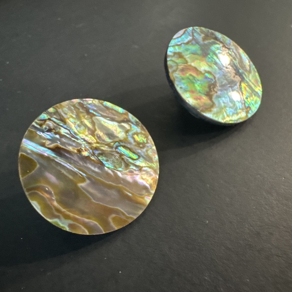 Chunky Abalone Boho Round Pierced Earrings
