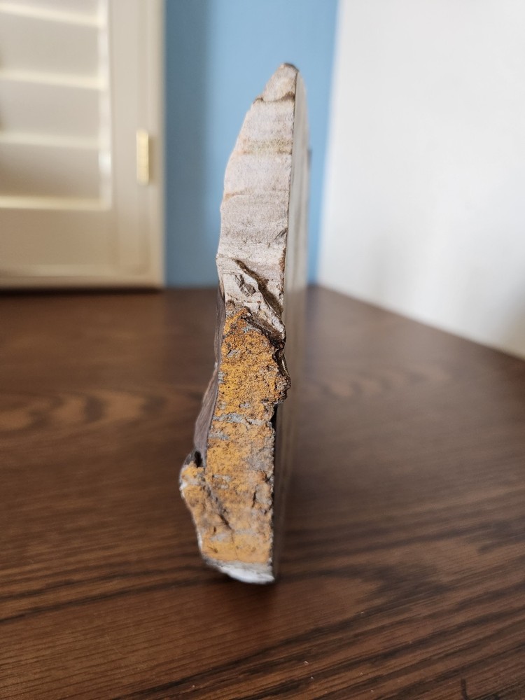 Petrified Wood Rough Cut Slab