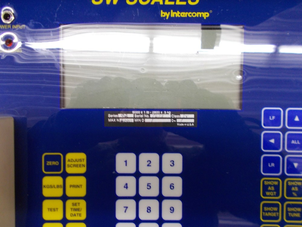 Intercomp 100155 SW Series Vehicle Scale System