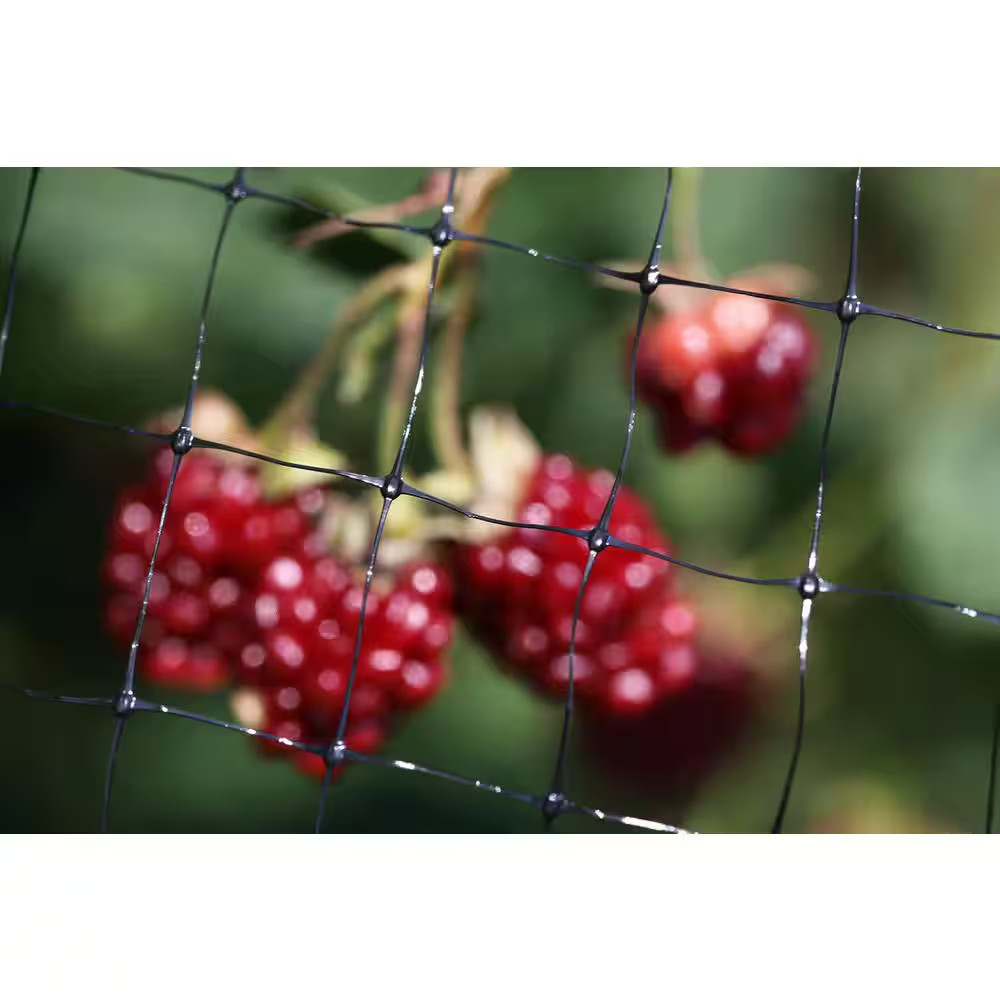 14 Ft. X 45 Ft. Netting and 5/8 In. Polypropylene Mesh