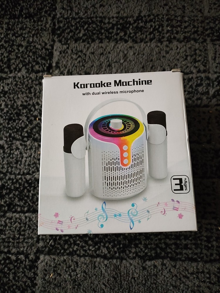 Karaoke Machine with Dual Microphones