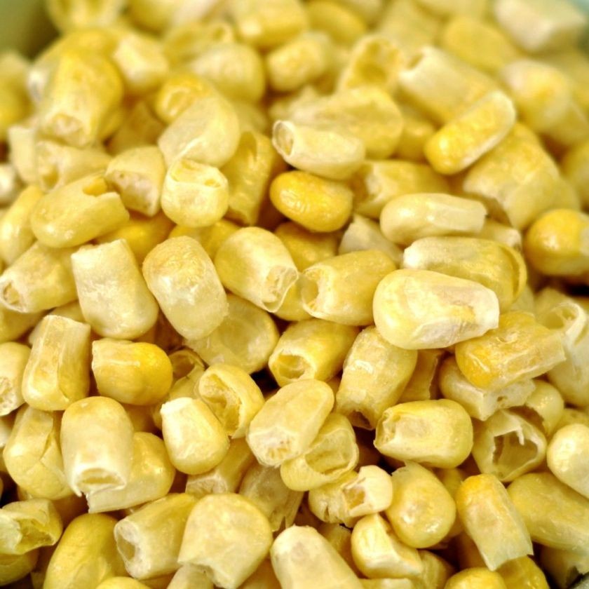 Freeze Dried Sweet Corn
