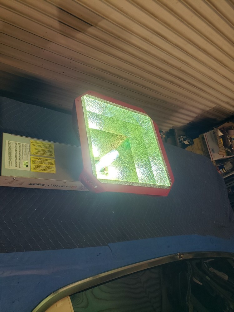 EYE Hortilux CMH 315
