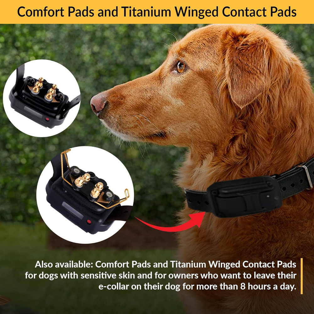 Brand Only Contact Points Fits E-Collar Remote Dog Training Collars, Titanium, L