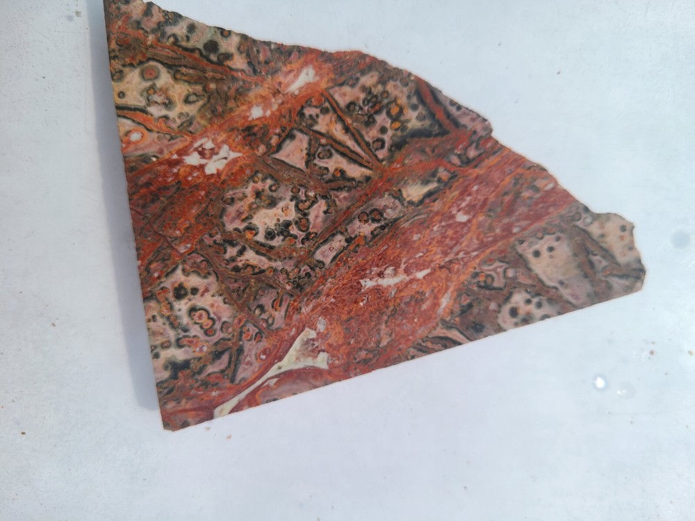 Leopard Skin Jasper Slab