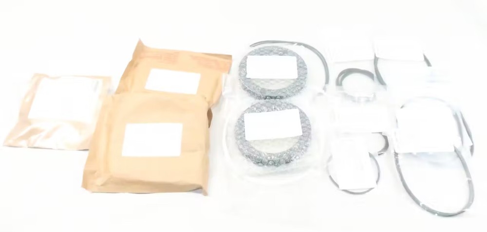 Flowserve 10380104 Dcv Soft Part Repair Kit