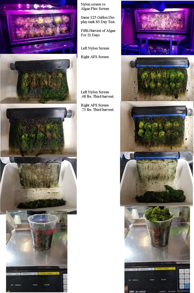 Algae Clean Scrubber Hang on Sump ACS-7-Elite-G8 W/ Algae Tear Drop Flex Screen.