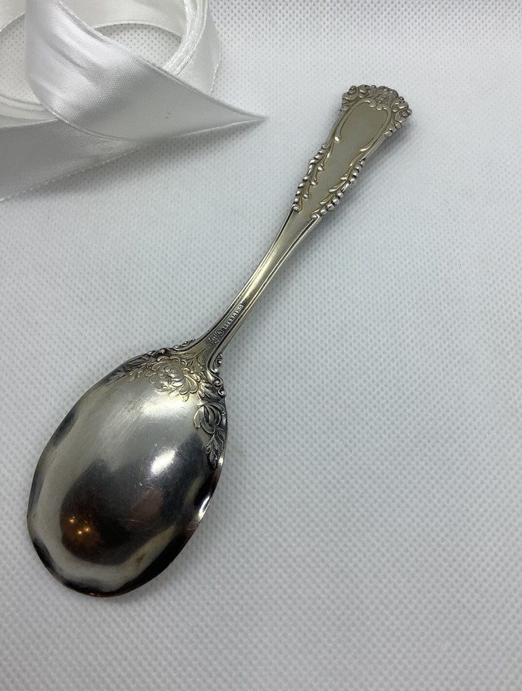 Antique Sterling Silver Enamel Spoon.