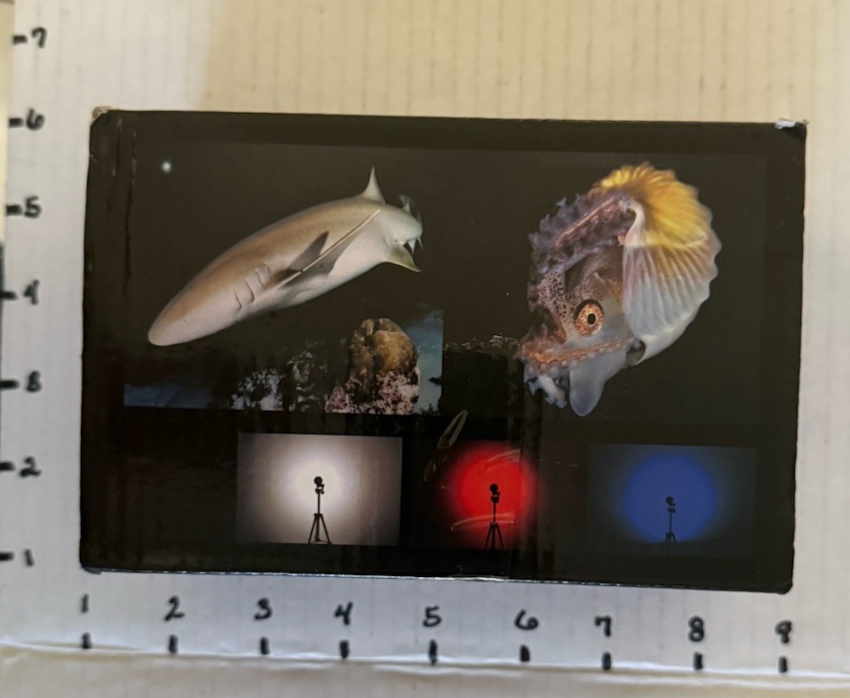 LED Diving Light