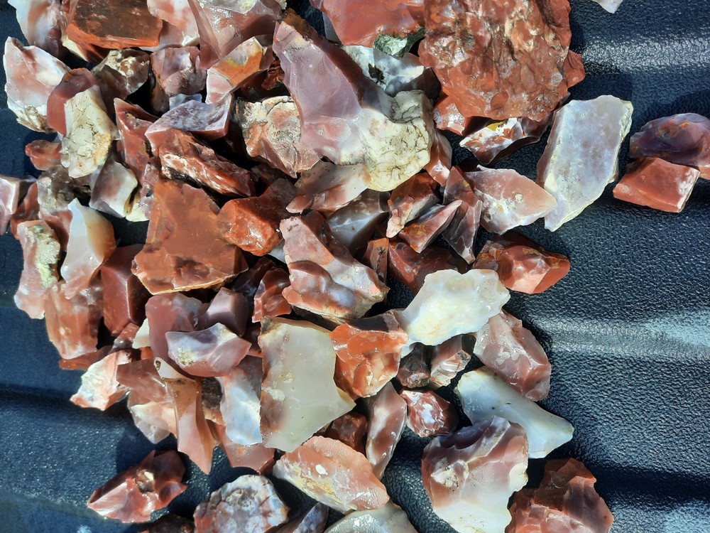 Pigeon Blood Agate 8+ Lbs. Rough Lot!