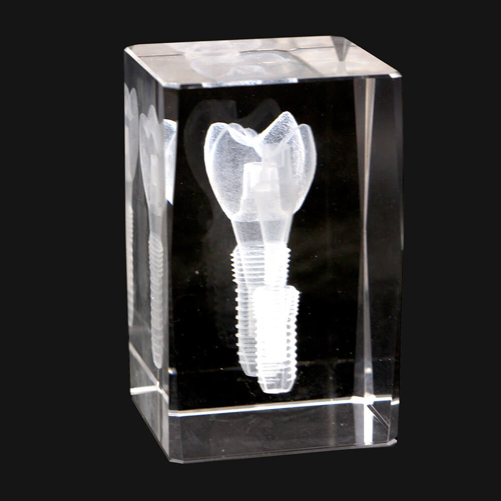 Dental Implant Study Model with Crystal Molar & Rotary Base for Demonstration
