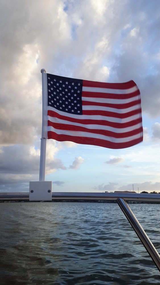 Boat Flag (White 2 - Pack) - Nauti Mount