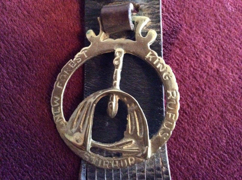 Zodiac Horse Brass On Leather Strap