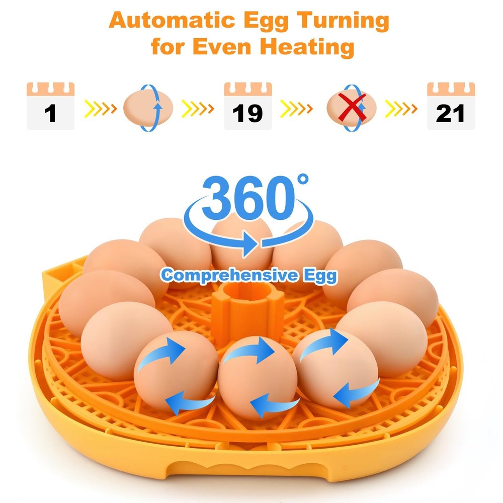 Egg Incubator for Hatching Chicks, Automatic Egg Turner Holds 12 Eggs, Smart ...