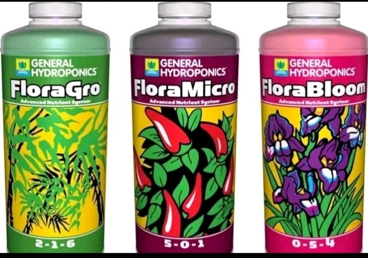 General Hydroponics Flora Series Bloom only 30mL