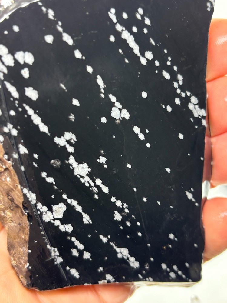 Snowflake Obsidian Slab Lapidary Cabbing Knapping Combo ship avail