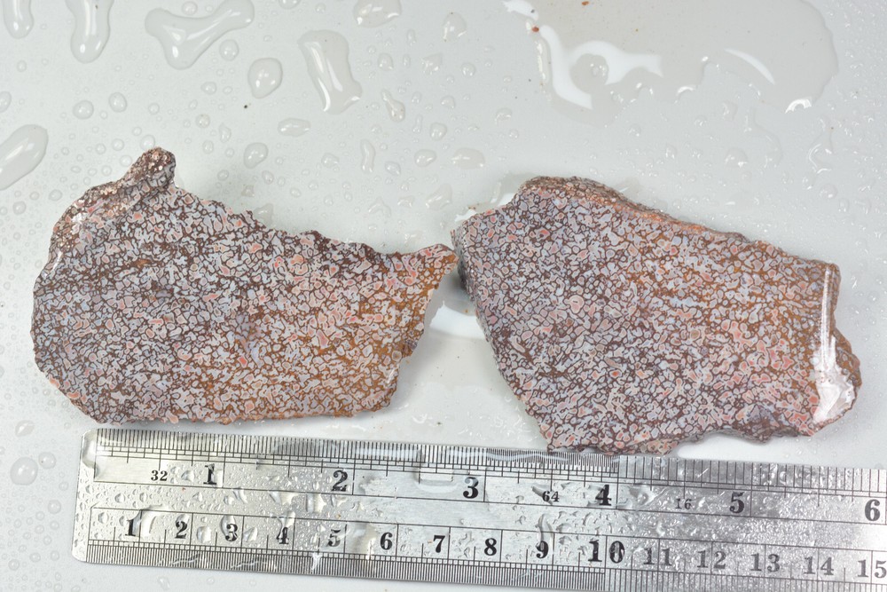 Agatized Dinosaur Bone Rough Utah 98 grams