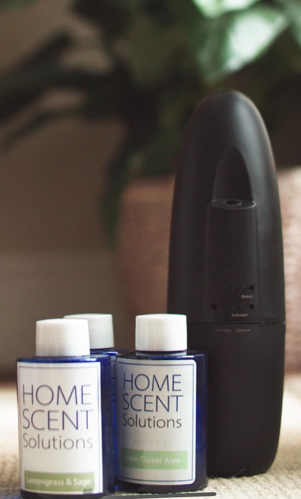 Dream Oil Based Fragrance Diffuser Refill 100ml