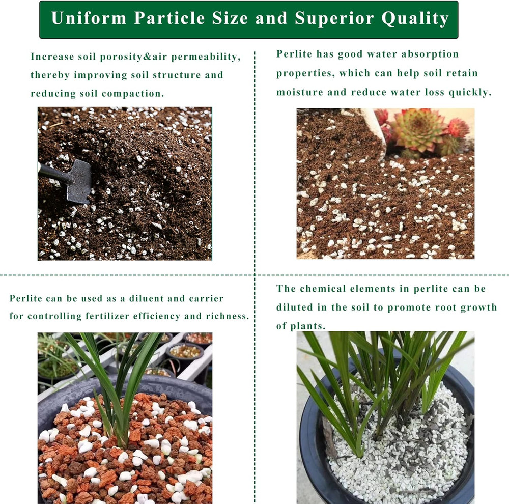 2 Quart Organic Perlite Horticultural Soil Amendment for Plants and Enhanced Dra