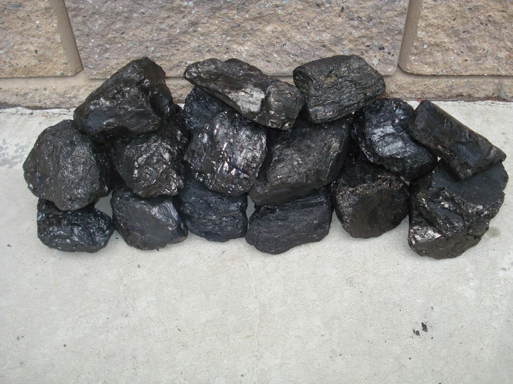 Anthracite Coal Pennsylvania EGG Coal Blacksmith Geological Teacher Sample 19 lb