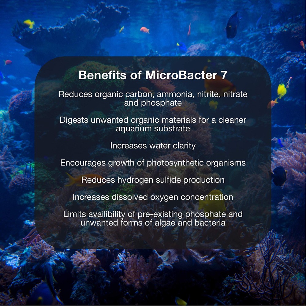 Brightwell Aquatics MicroBacter7 & Clean - Bacteria Water Conditioner Bundle