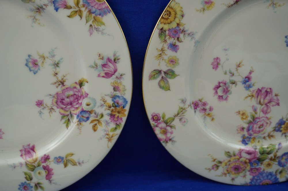 Castleton Sunnybrooke (4) Dinner Plates, 10 3/4" (B54)