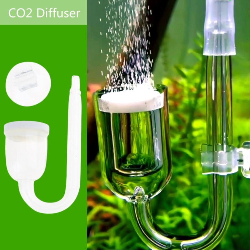 for CO2 Diffuser Clear Glass Atomizer for Aquarium Planted for Tank Tiny