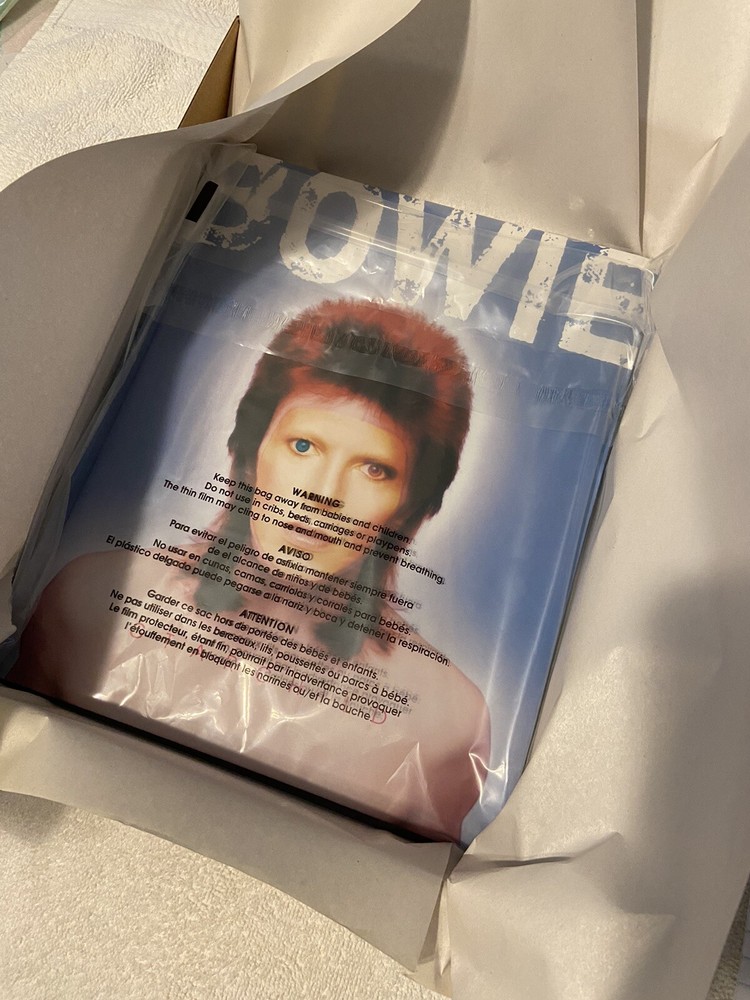 David Bowie Starchild Book