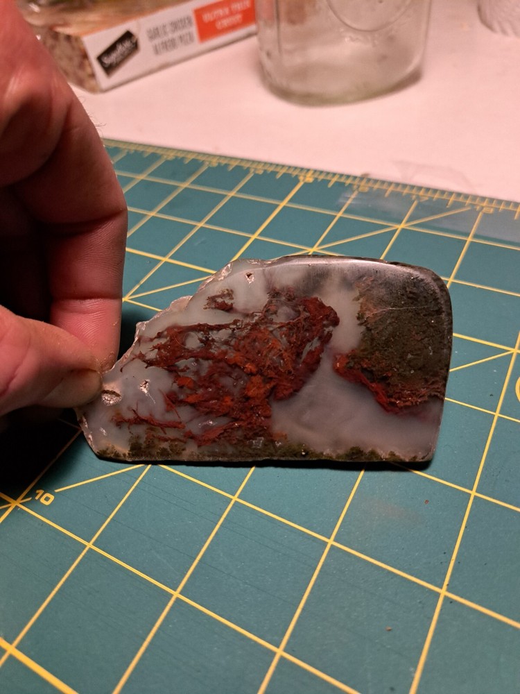 Moss agate Maury Mountain