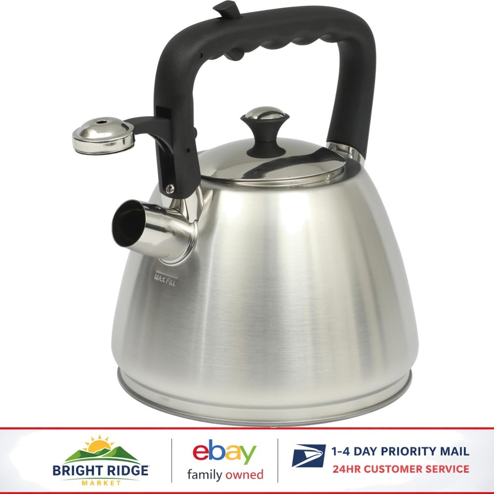 Durable Stainless Steel Whistling Tea Kettle with Curved Handle for Comfort