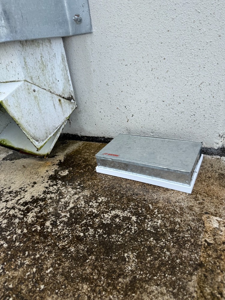 Tin cat mouse trap base protector.