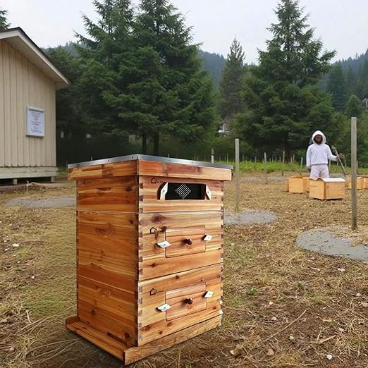 10 Frame Bee Hive Starter Kit 1 Wood Medium Boxes with Windows for Beekeepers