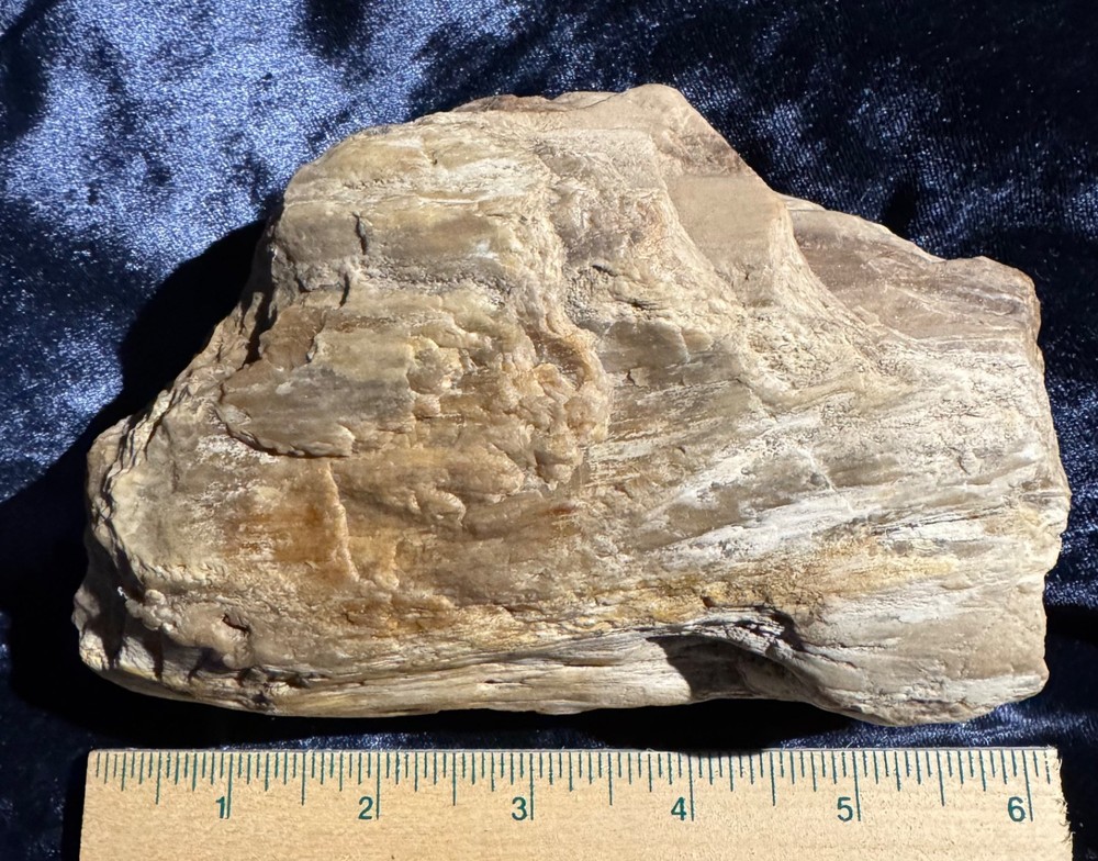 Petrified Opalized Wood Specimen Natural Form
