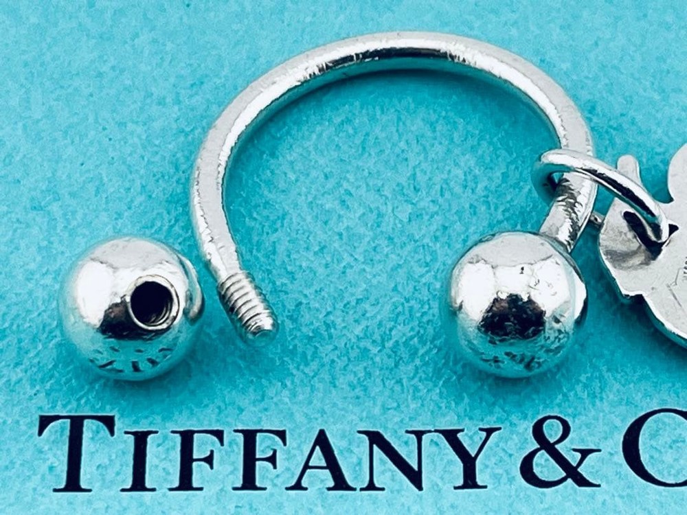 f262 Tiffany & Co. Apple Keyring Keychain 925 Apple