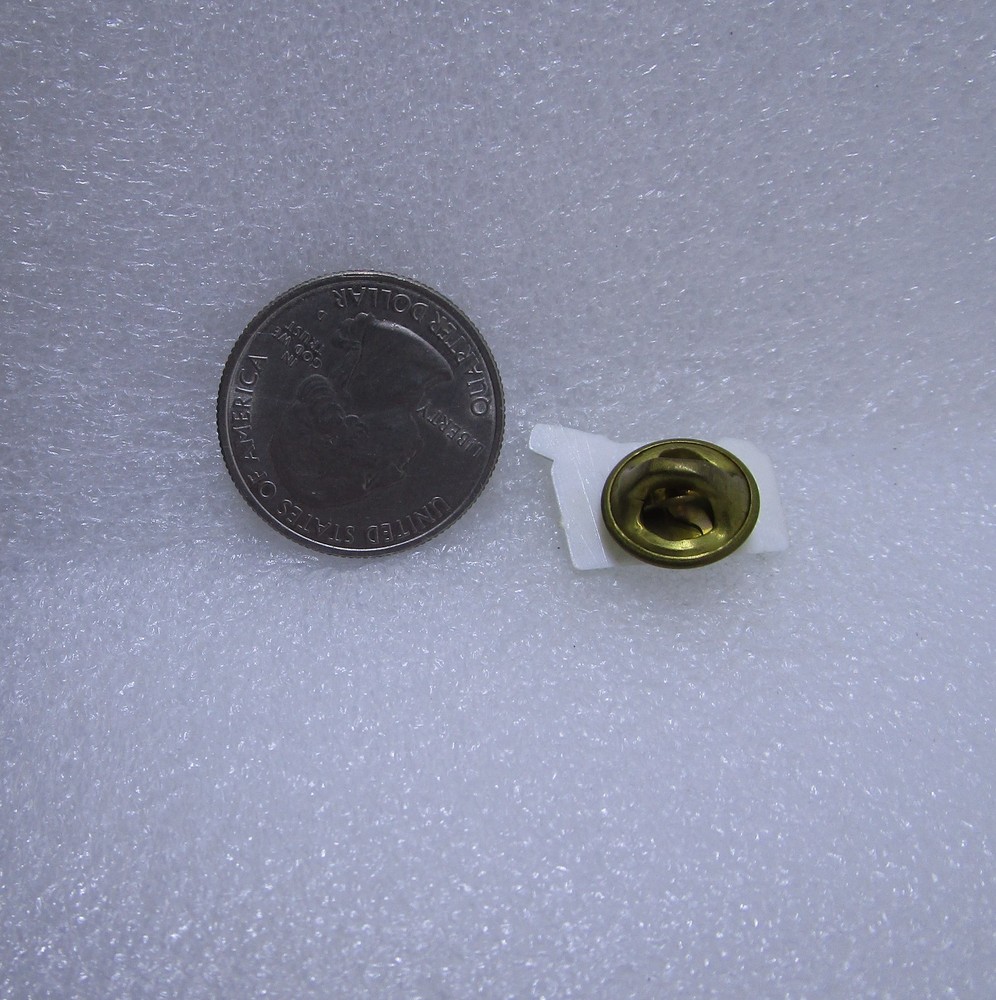 O'Neill Democrat William O'Neill Plastic Pin