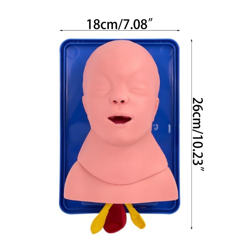 Infant Intubation Training Model Tracheal Intubation Practice Model