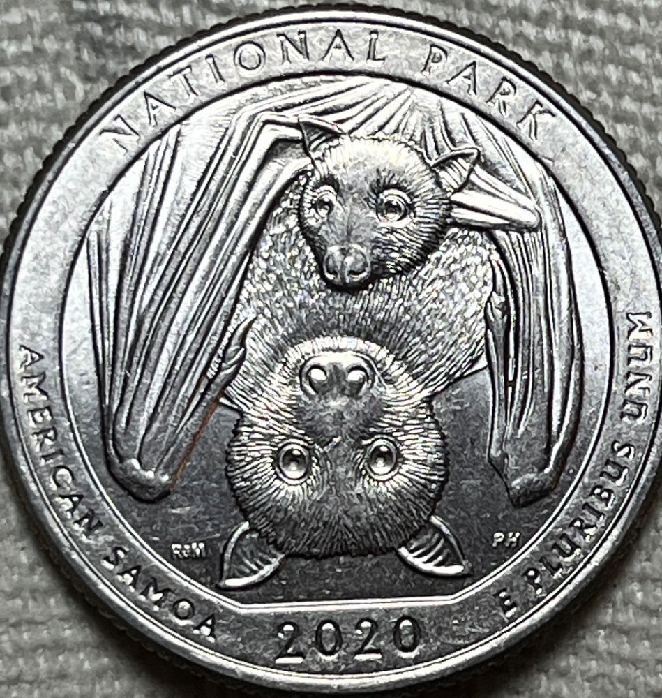 2020 P American Samoa 🔥🔥ERRORS🔥🔥See images, see description