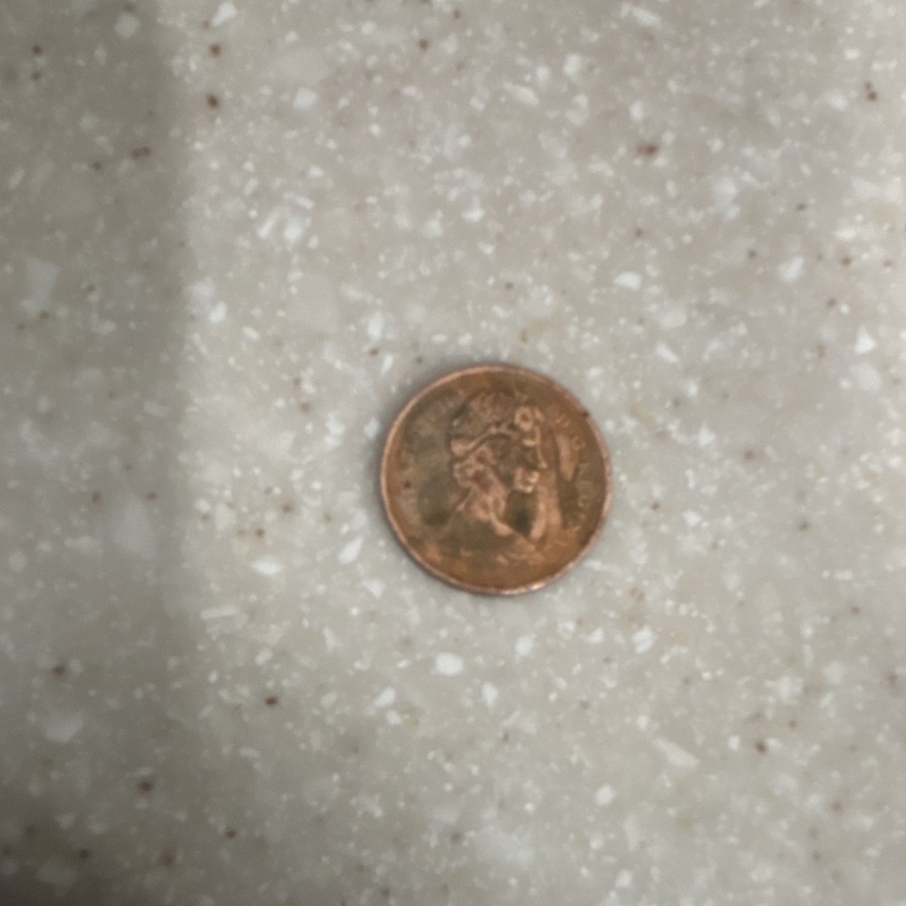 Flying Eagle Small Cent Circulated US Coin BN Uncertified