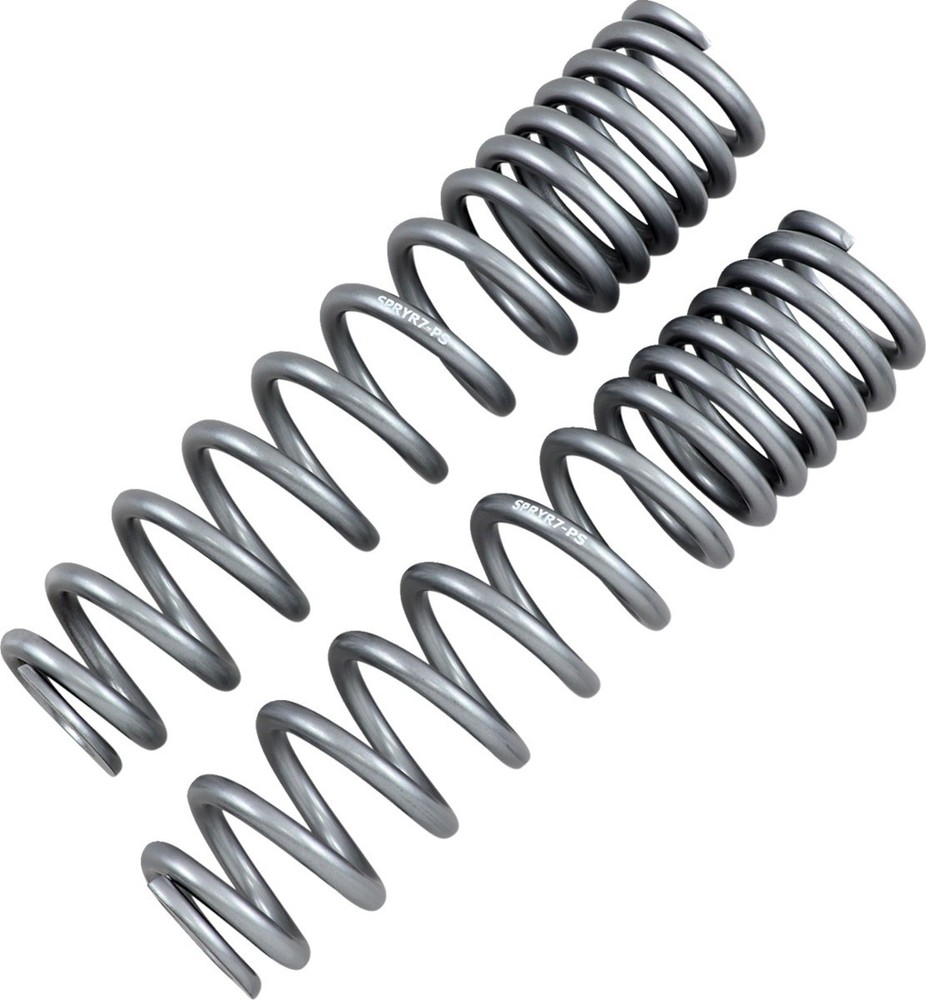 HIGH LIFTER 79-13869 Shock Springs - Rear - Silver