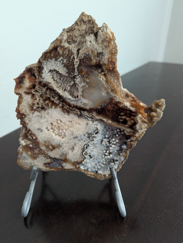coral slab brown white multi-textured natural