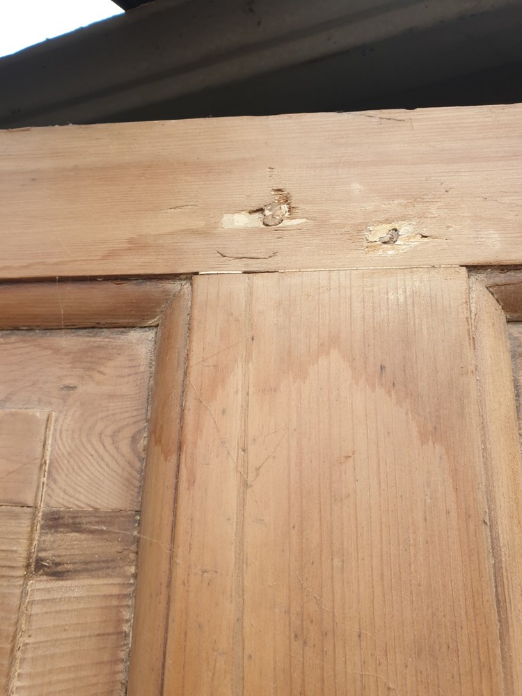 Large Door. Antique.