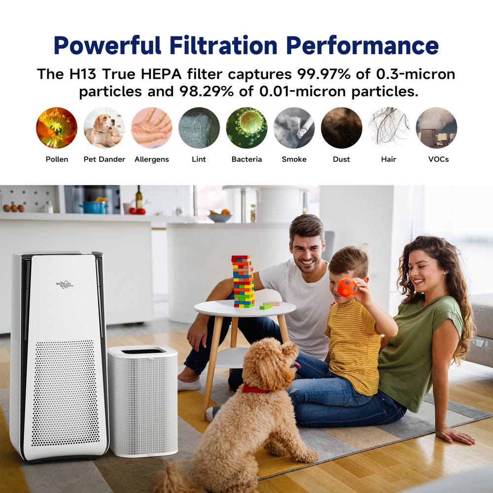Original H13 True HEPA Filter Replacement For MS601 Air Purifier