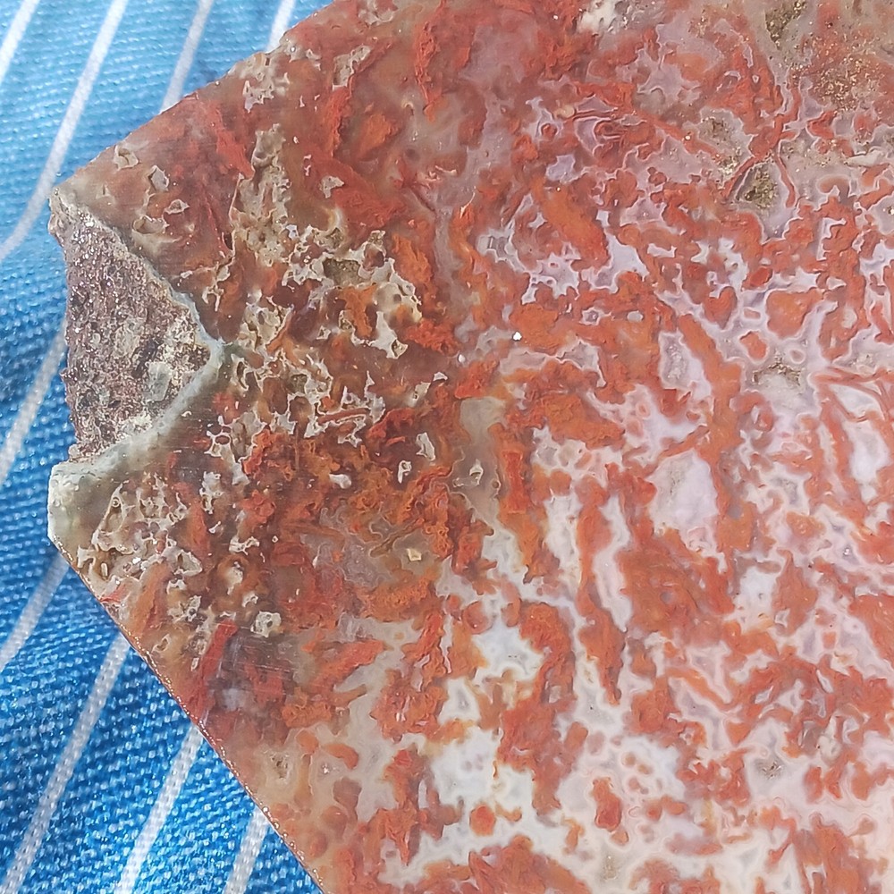 BIG Moss Agate Slab Ready For Lapidary