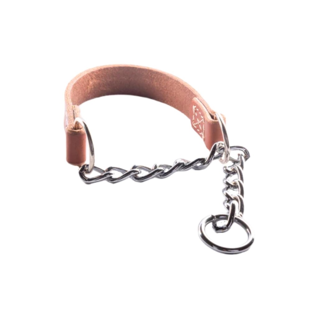 Joel Silverman's Patented Alternative Training Collar (Medium II) - Alternati...