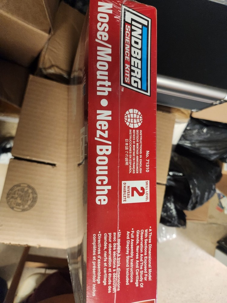 Nose And Mouth Model