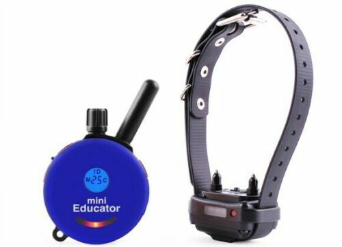 E-Collar Technologies Educator Mini Dog Training Collar 1/2 Mile Range ET-300