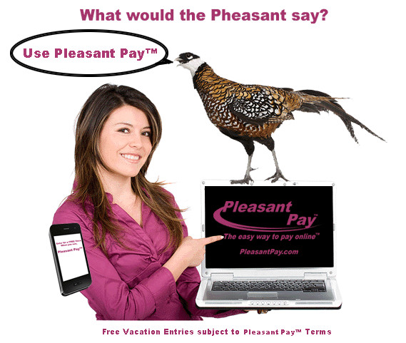 PleasantPay. com  -  PREMIUM DOMAIN NAME - PleasantPay. com