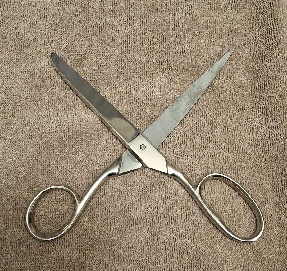 Vintage Eberle Cutting Scissors