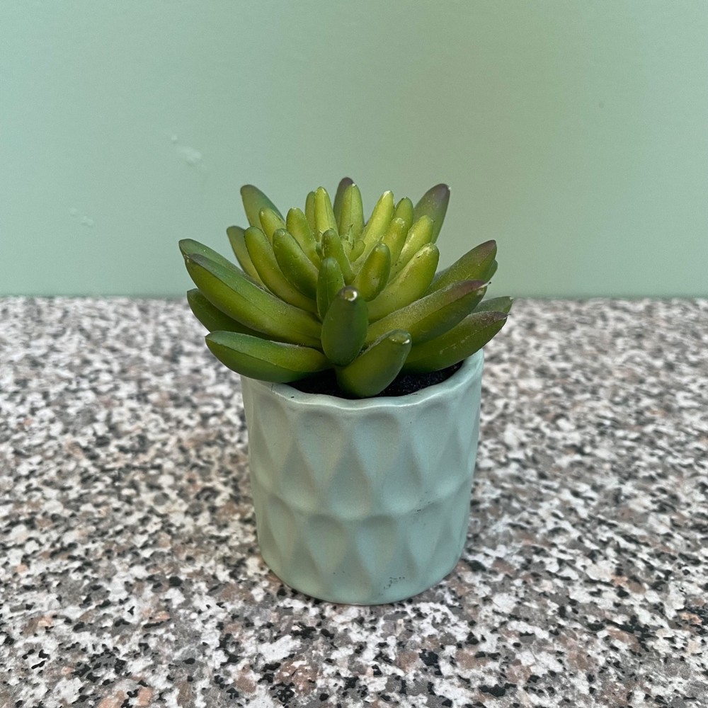 Small Ceramic Succulent Planter Pot Tiny Flower Plant Home Decor